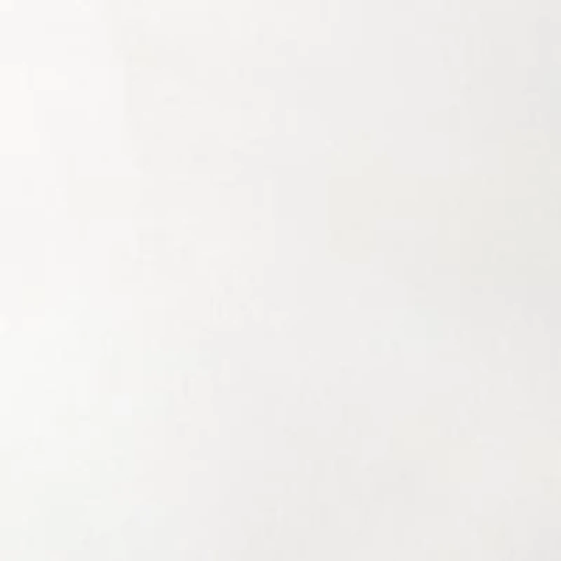 Plus Millennium Shorts