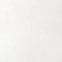 Plus Millennium Shorts