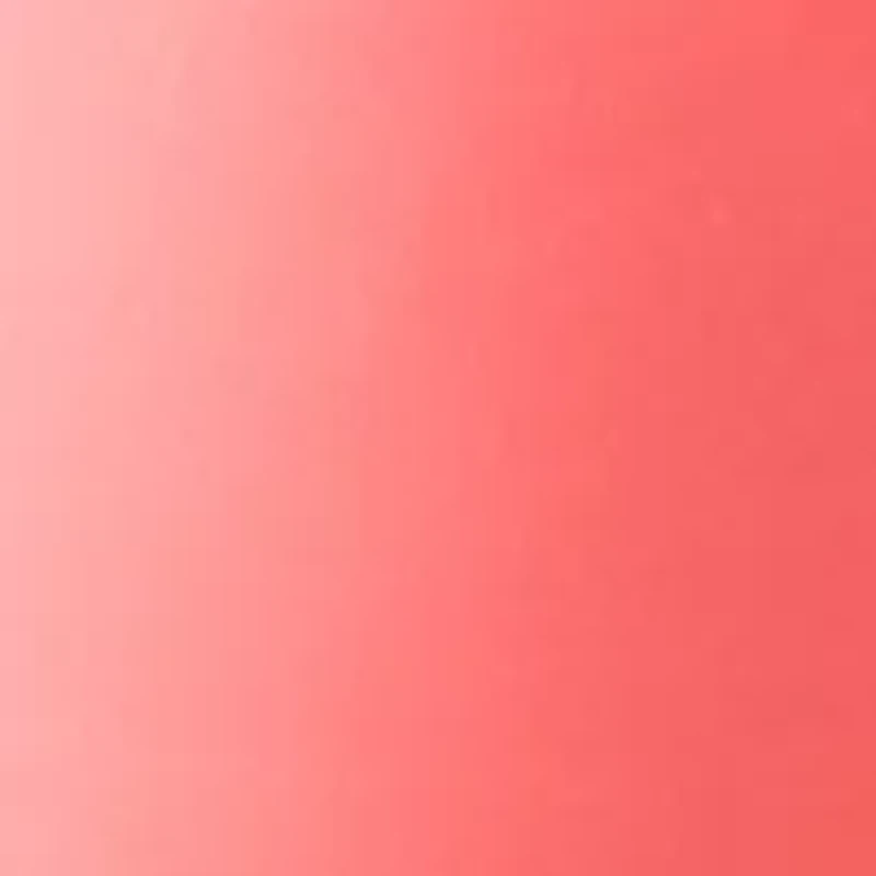 Women's Solid Bermuda Shorts