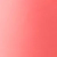 Women's Solid Bermuda Shorts