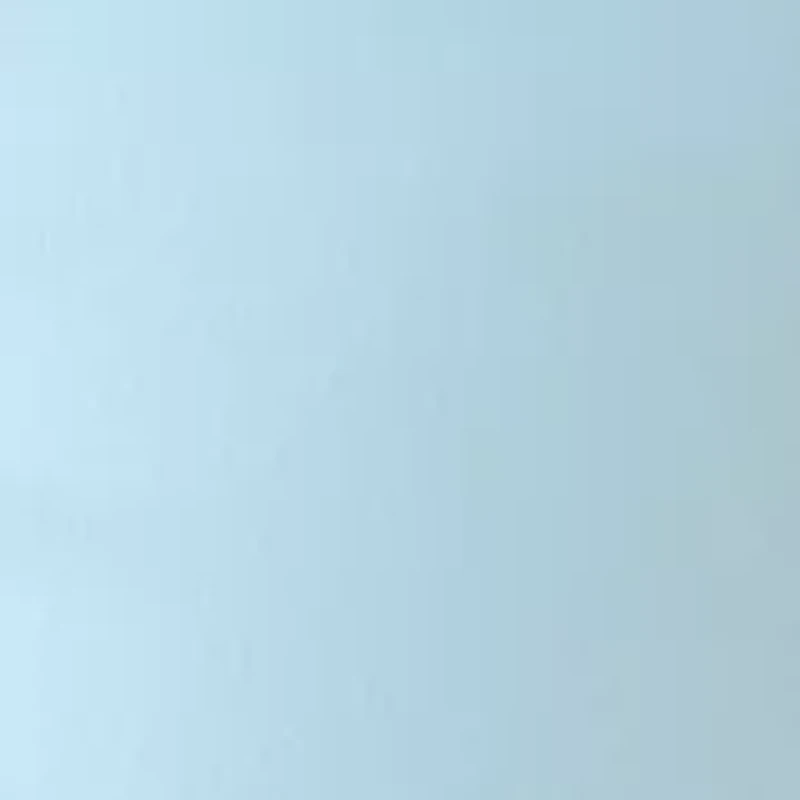 Women's Bermuda Shorts