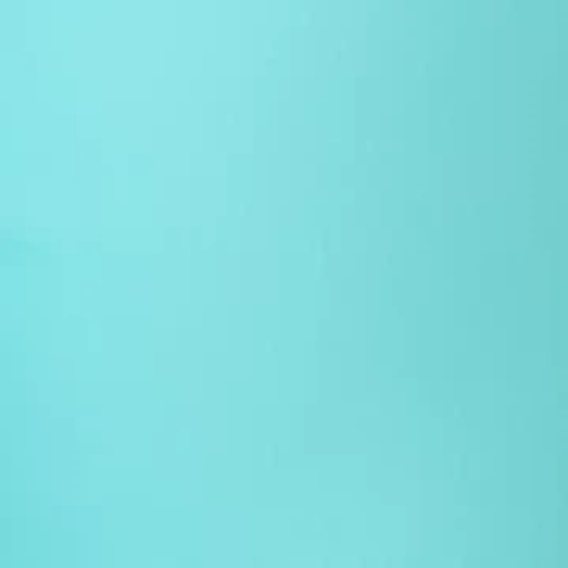 Women's Bermuda Shorts