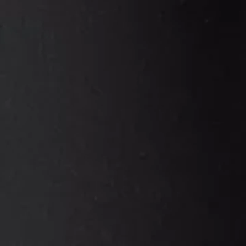 Women's Bermuda Shorts