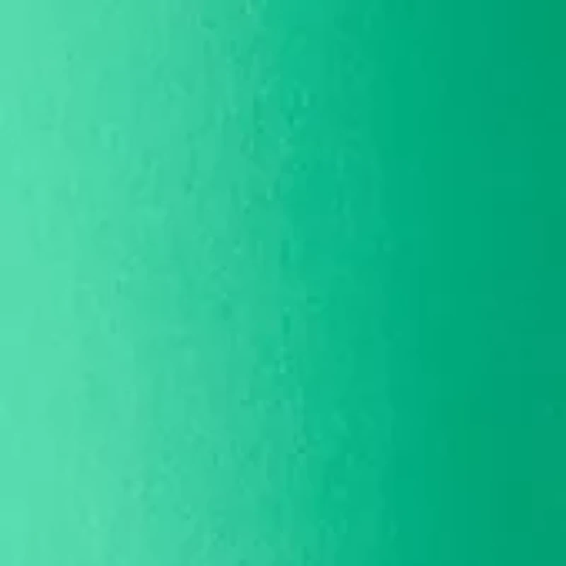 Women's Solid Bermuda Shorts