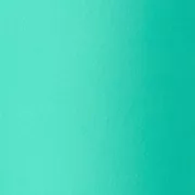 Women's Millennium Bermuda Shorts