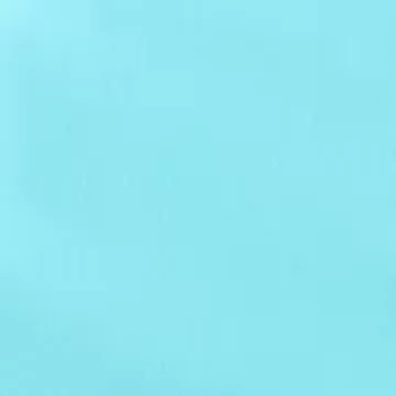 Women's Millennium Bermuda Shorts