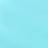 Women's Millennium Bermuda Shorts