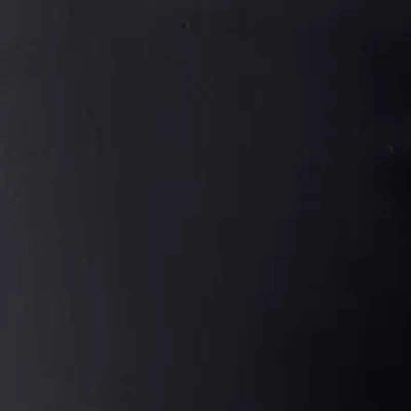 Women's Millennium Bermuda Shorts