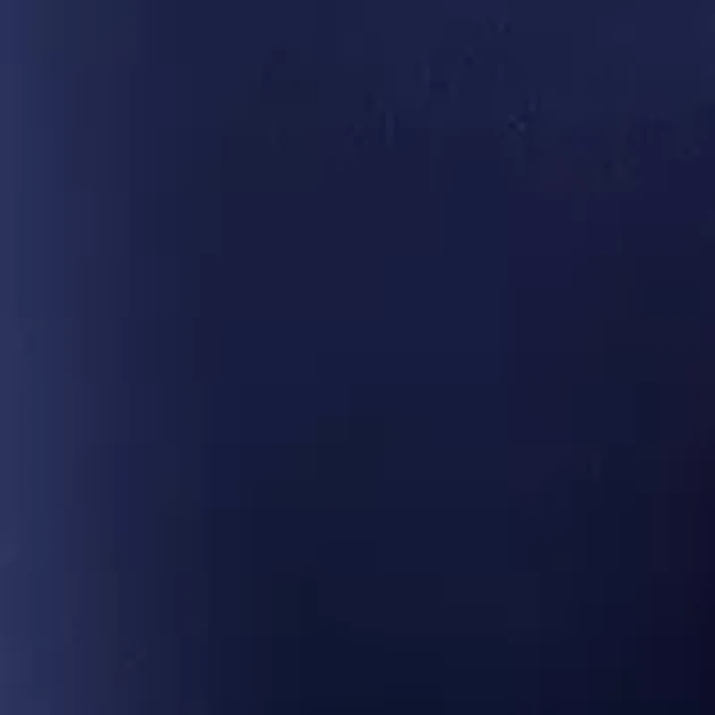 Women's Millennium Bermuda Shorts