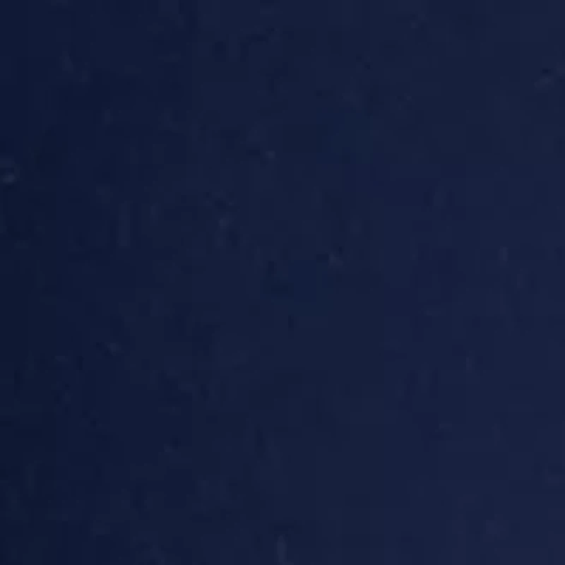 Petite Cotton Solid Bermuda Shorts