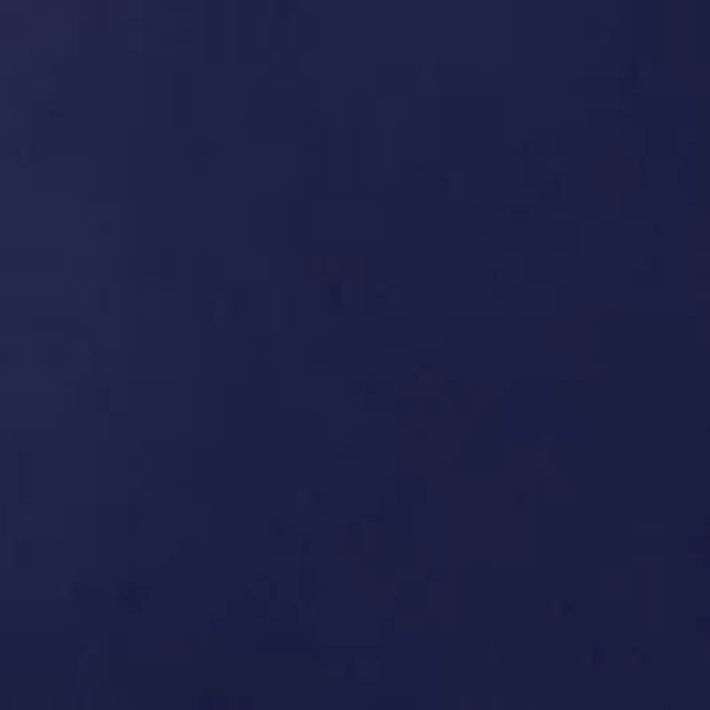 Petite Millennium Skimmer Pants