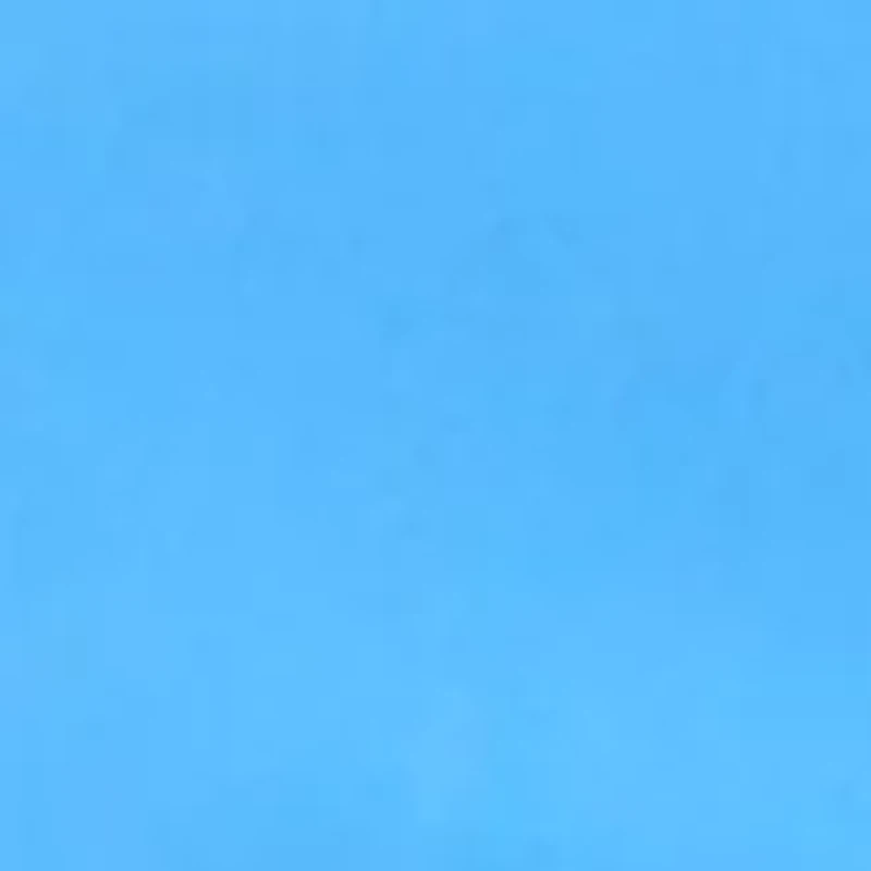 Petite Millennium Bermuda Shorts