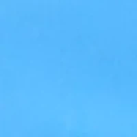 Petite Millennium Bermuda Shorts