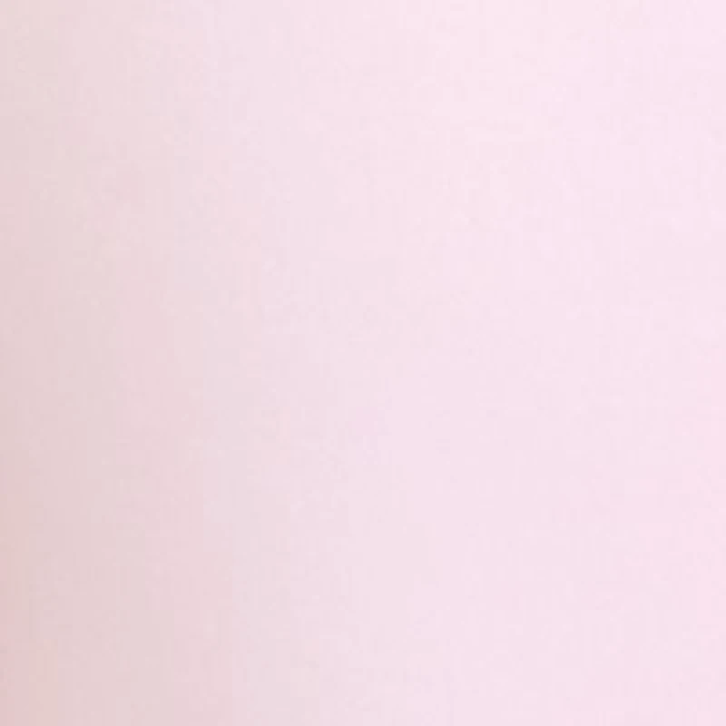 Petite Millennium Bermuda Shorts