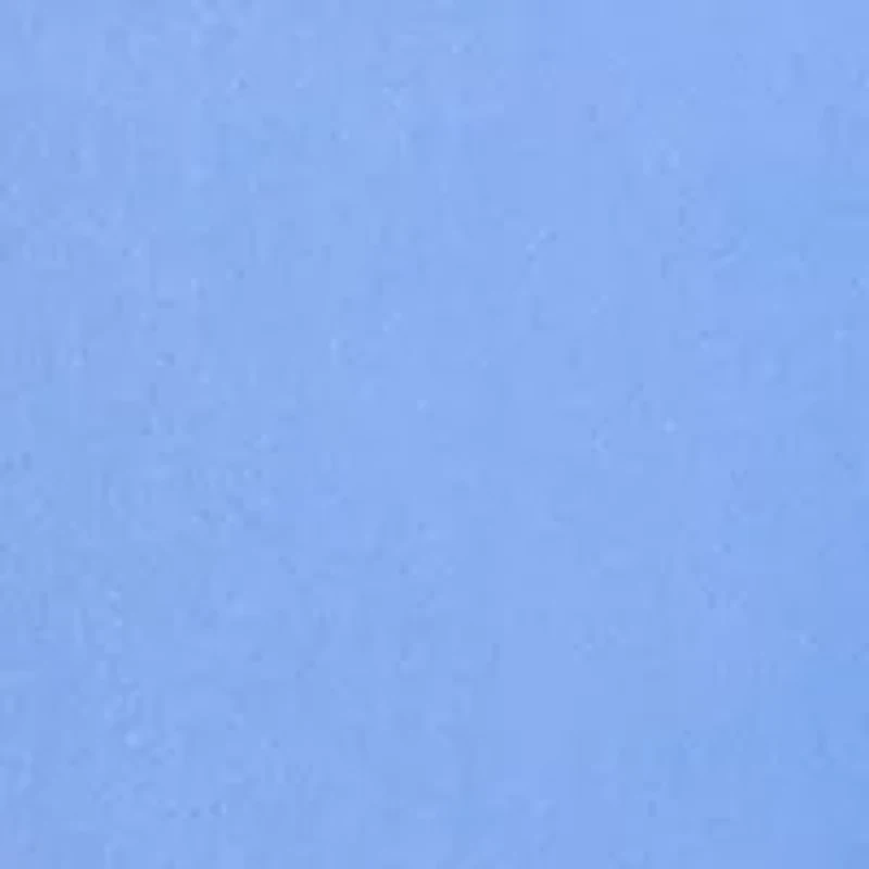 Petite Solid Millennium Bermuda Shorts