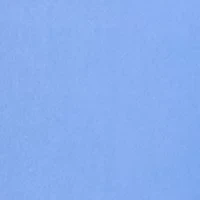 Petite Solid Millennium Bermuda Shorts