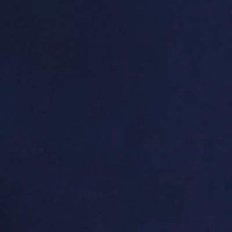 Petite Millennium Bermuda Shorts