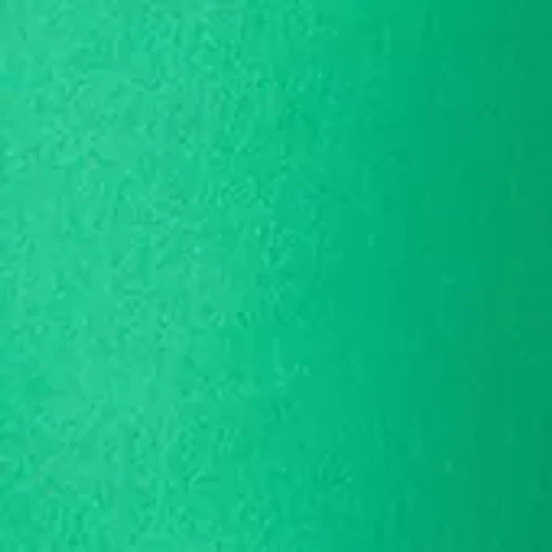 Petite Millennium Bermuda Shorts