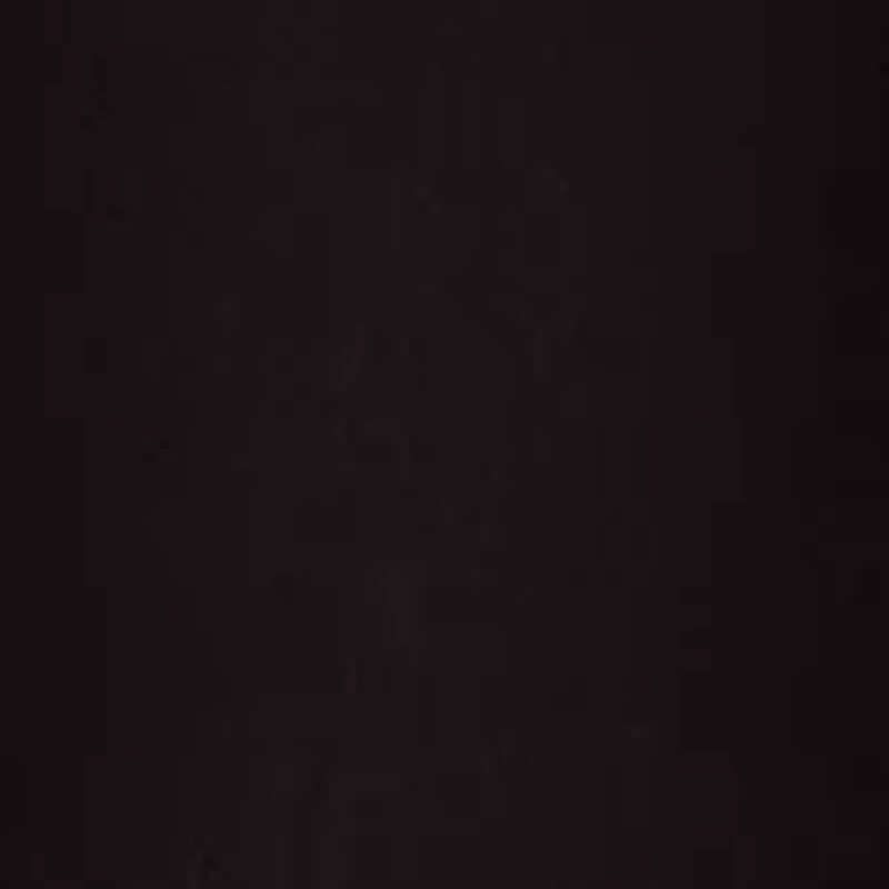 Petite Solid Bermuda Shorts