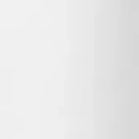 Petite Solid Bermuda Shorts