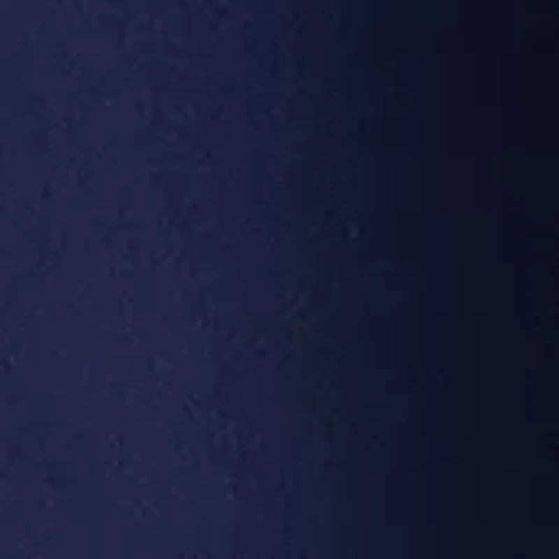 Petite Solid Bermuda Shorts