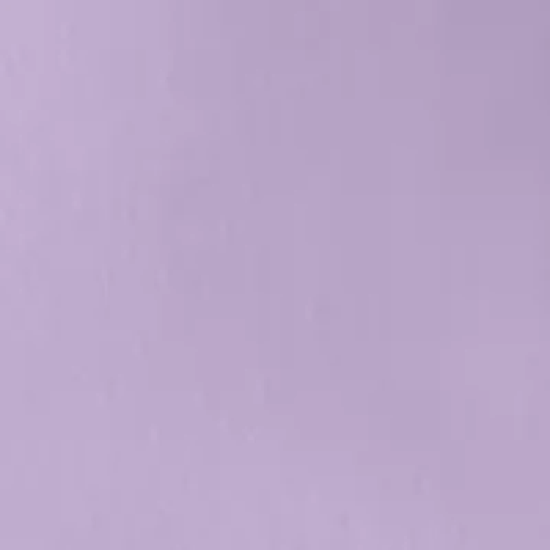 Petite Millennium Bermuda Fashion Shorts