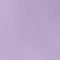 Petite Millennium Bermuda Fashion Shorts