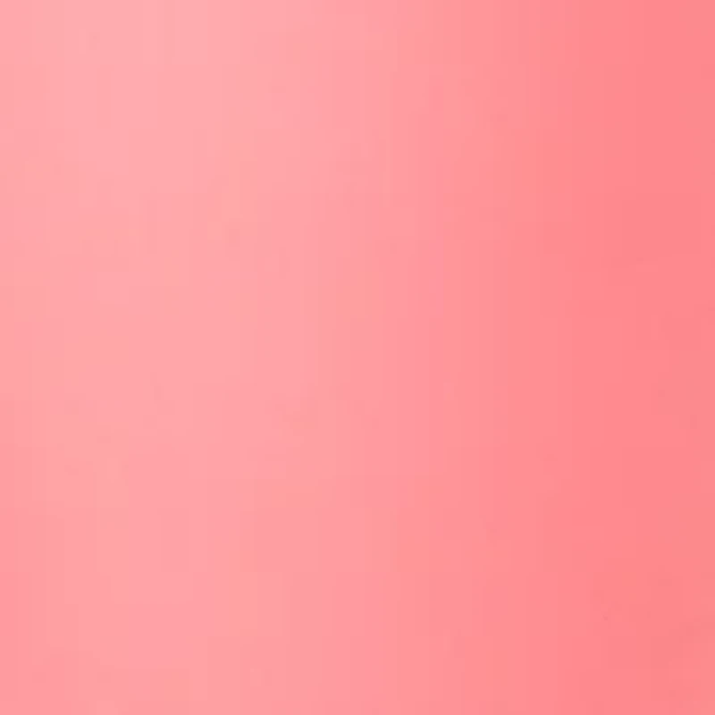 Petite Millennium Bermuda Fashion Shorts