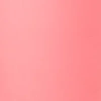 Petite Millennium Bermuda Fashion Shorts