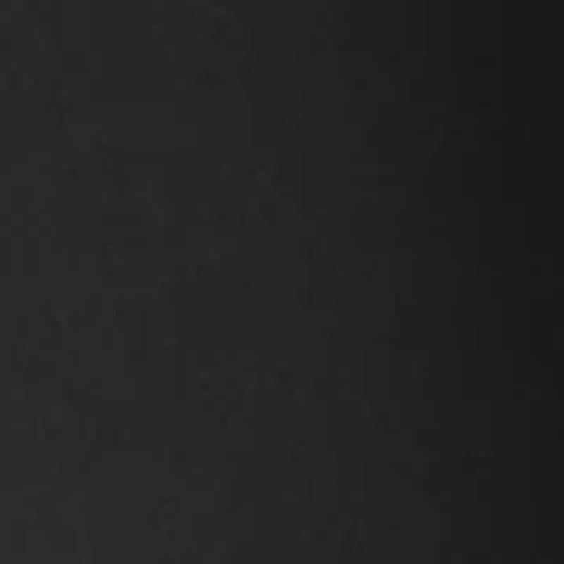 Petite Millennium Bermuda Shorts