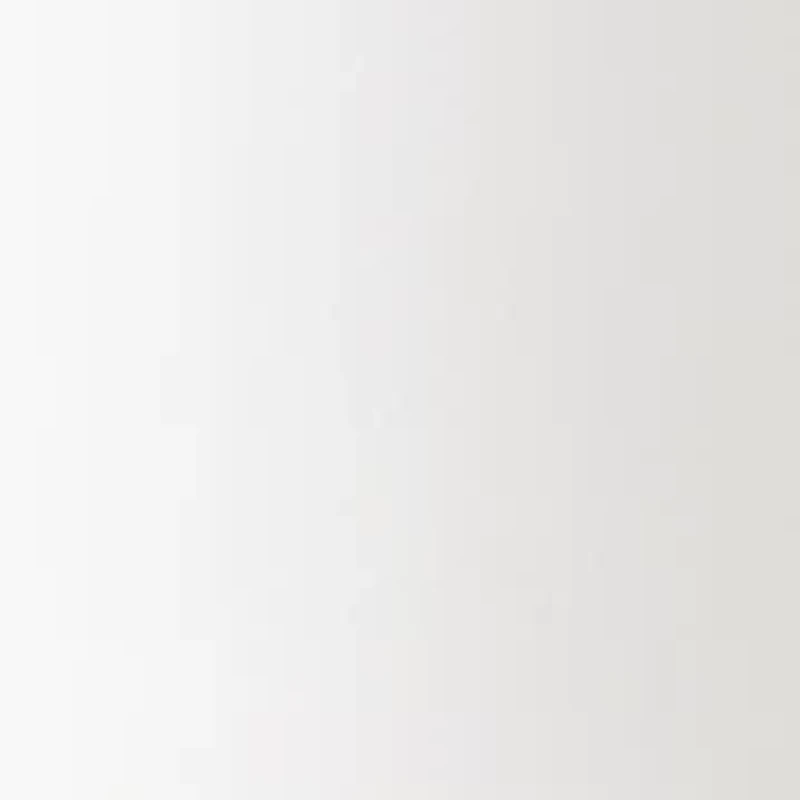 Petite Millennium Bermuda Shorts