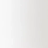 Petite Millennium Bermuda Shorts