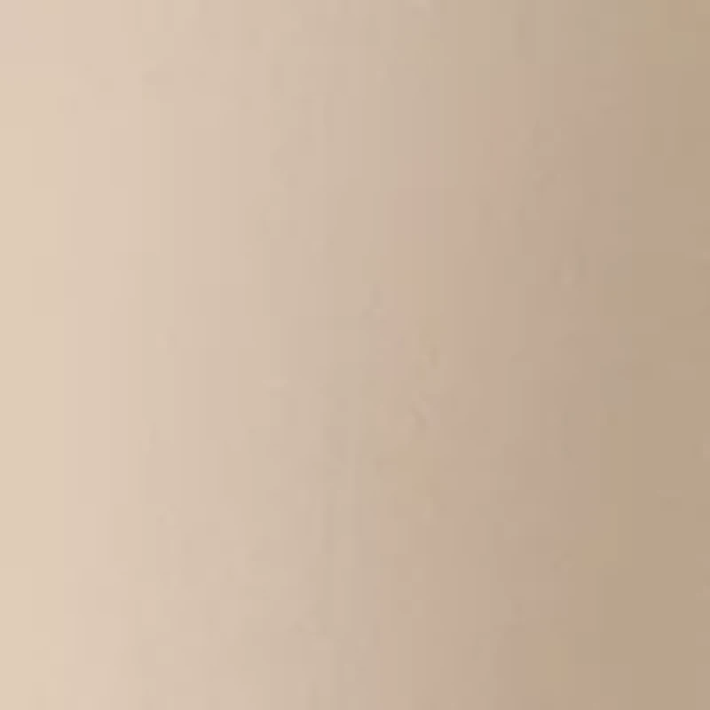 Petite Millennium Bermuda Shorts