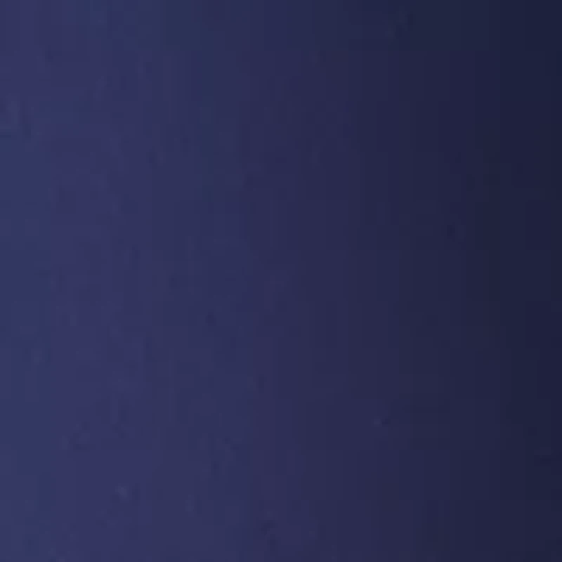 Petite Millennium Bermuda Shorts