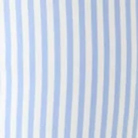Plus Millennium Bermuda Stripe Shorts