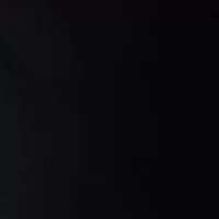 Plus Super Stretch Bermuda Shorts