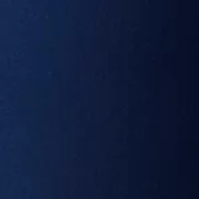 Plus Super Stretch Bermuda Shorts