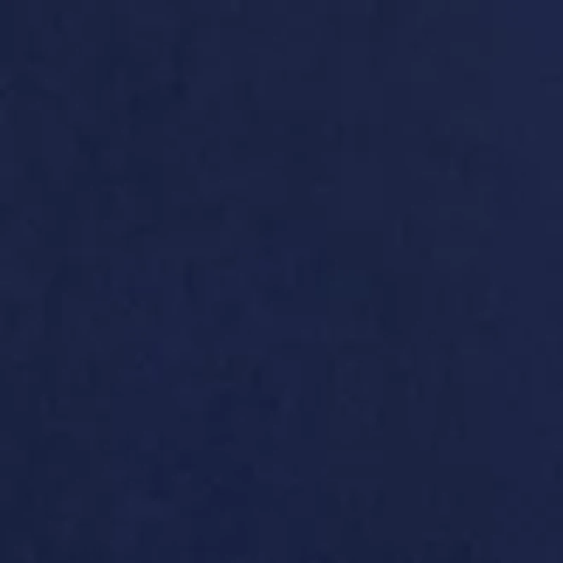 Plus Millennium Bermuda Shorts