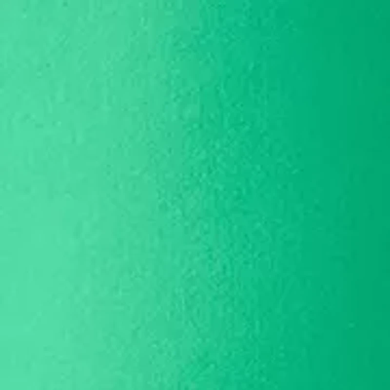 Plus Millennium Bermuda Shorts