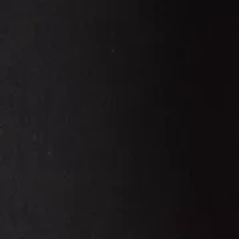 Plus Millennium Bermuda Shorts