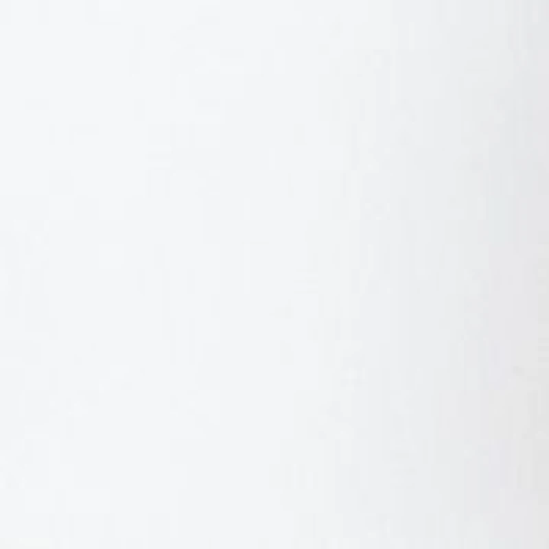 Plus Millennium Bermuda Shorts