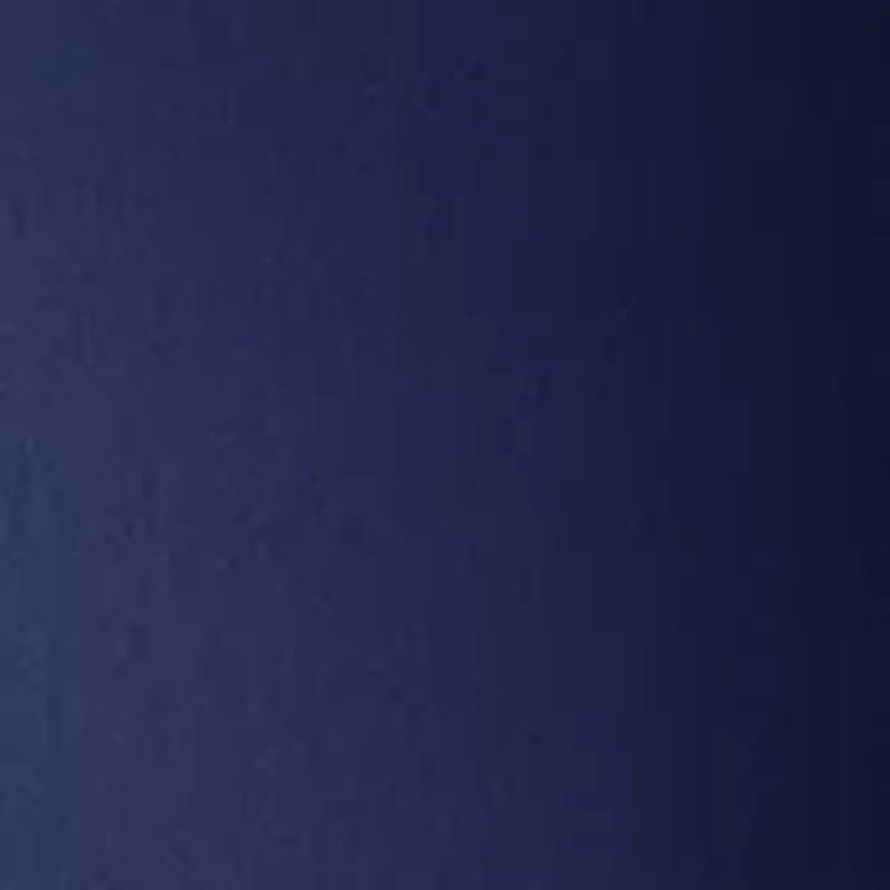 Plus Millennium Bermuda Shorts