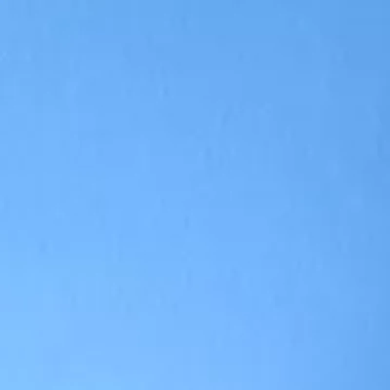 Women's Millennium Pants