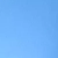 Women's Millennium Pants