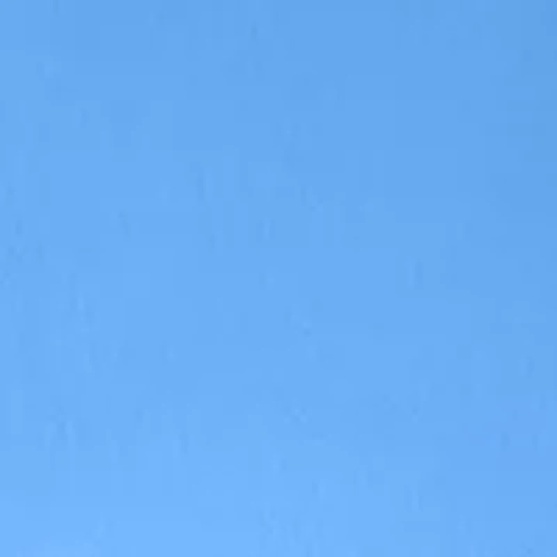 Women's Millennium Pants