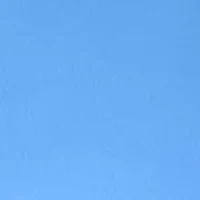 Women's Millennium Pants