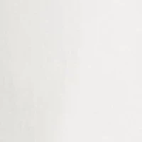 Petite Millennium Fashion Solid Pants