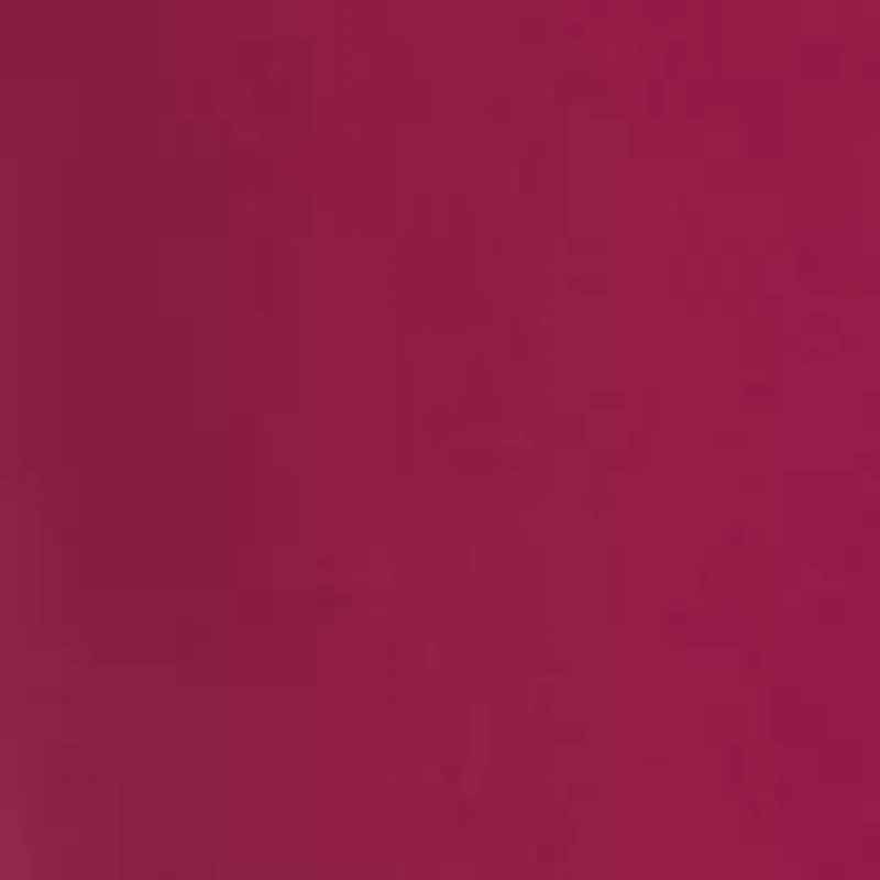 Petite Millennium Fashion Pants