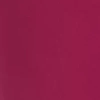 Petite Millennium Fashion Pants