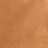 Petite Pull On Faux Suede Pants